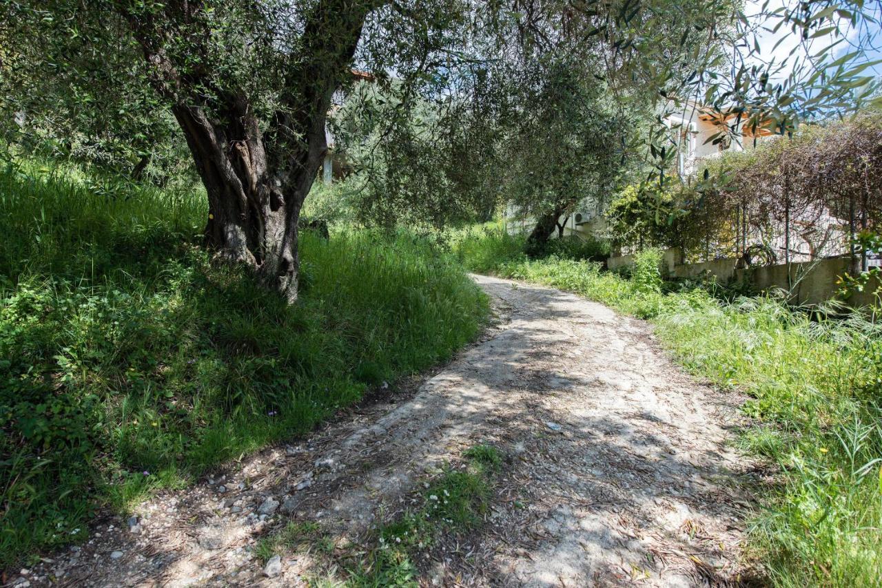 فيلا Lily'S House Áno Korakiána المظهر الخارجي الصورة